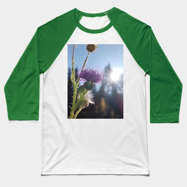 Thistle Baseball T-Shirt by 🧩Jigsaw🦚Boutique🧩